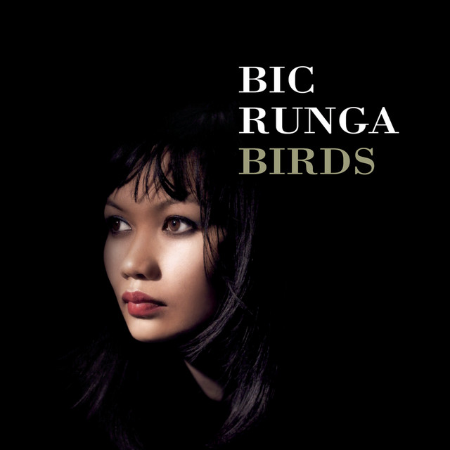 Birds album cover