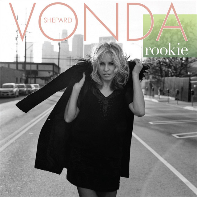 Rookie album cover