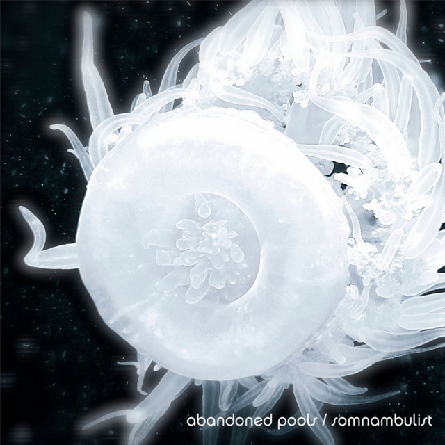 Somnambulist album cover