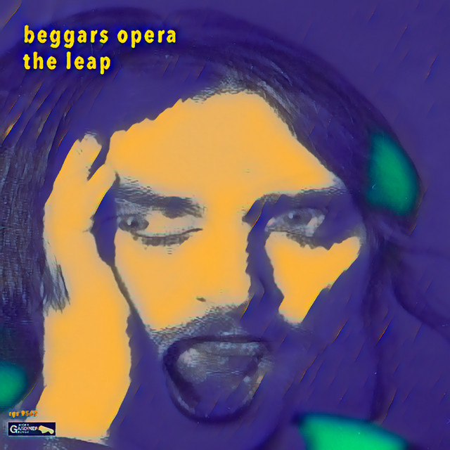 The Leap album cover