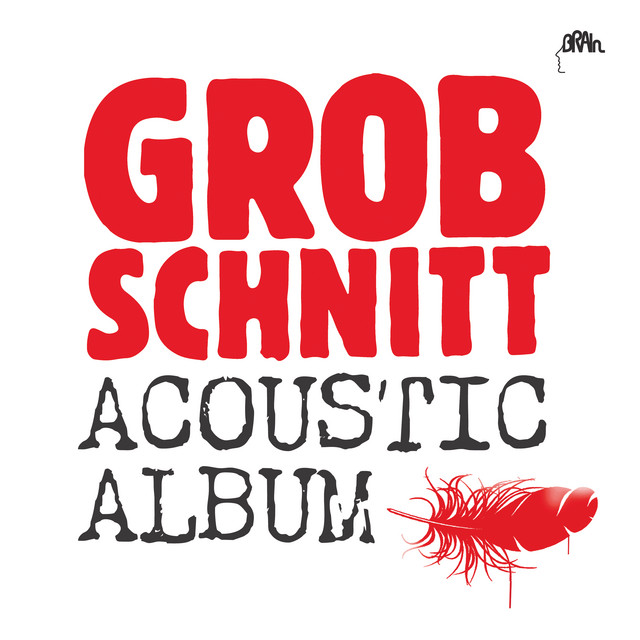 Acoustic Album album cover