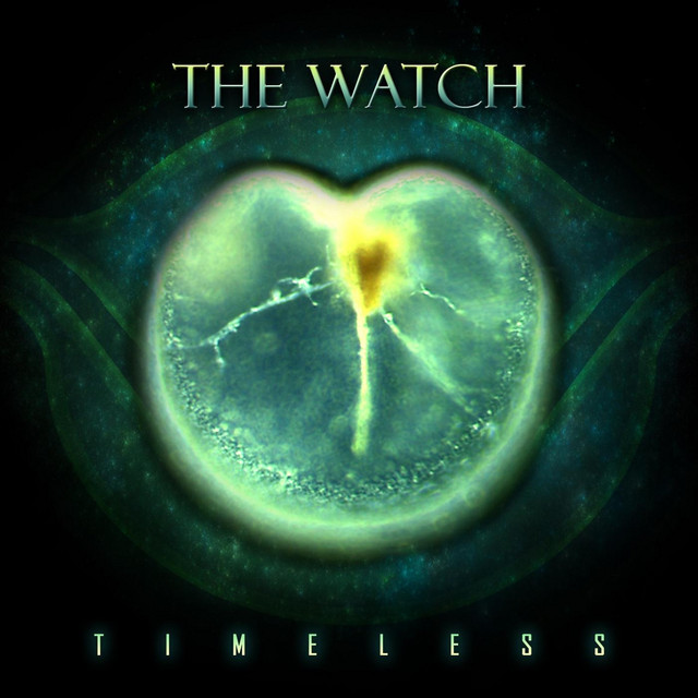 Timeless album cover