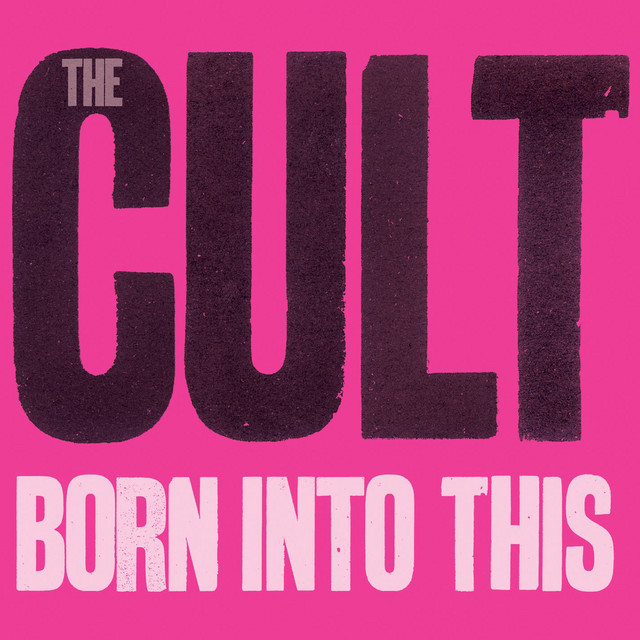 Born Into This album cover