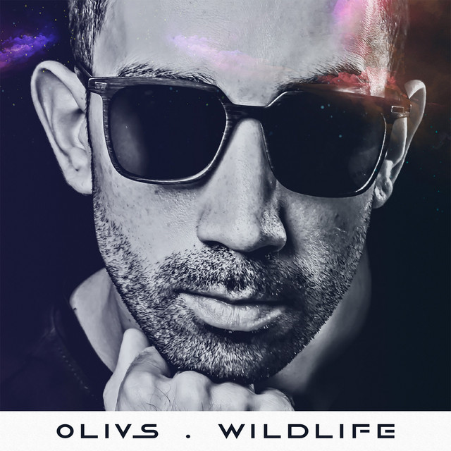 Wildlife album cover