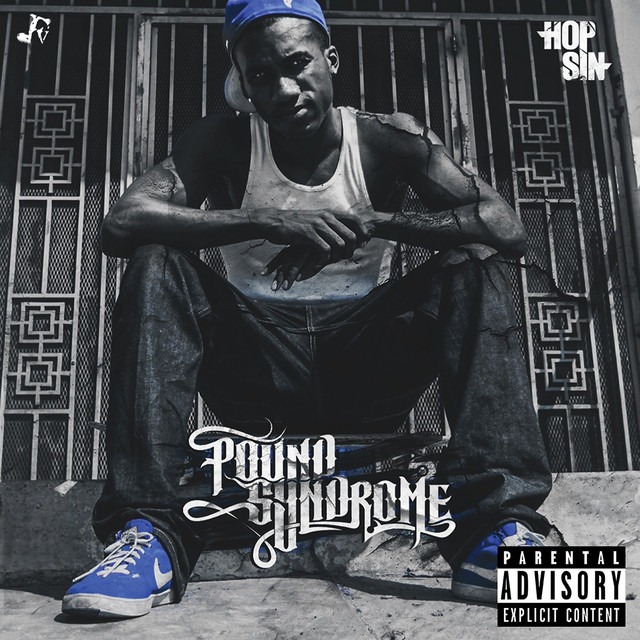 Pound Syndrome album cover