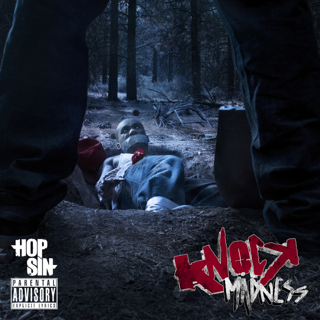 Knock Madness album cover