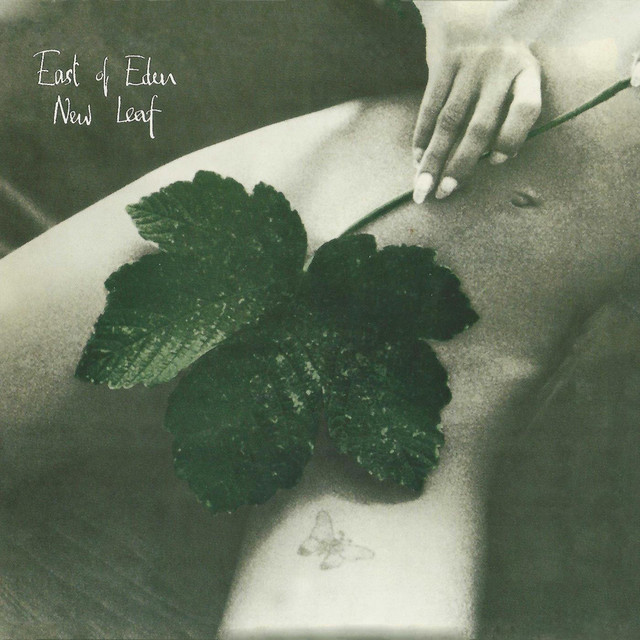 New Leaf album cover