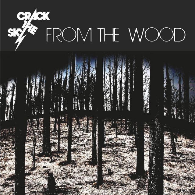 From the Wood album cover