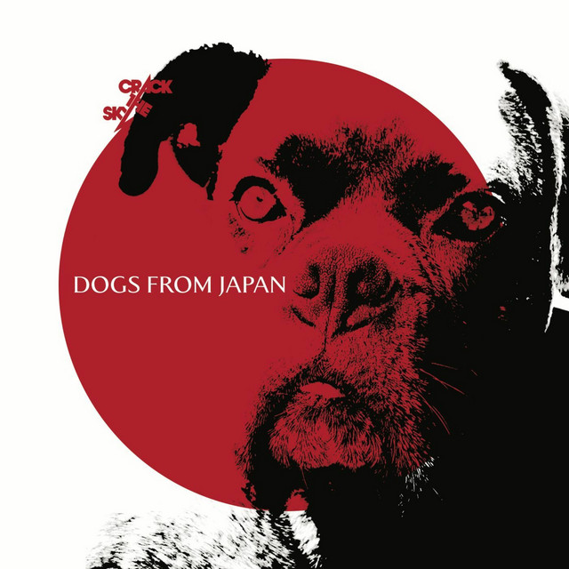 Dogs From Japan album cover