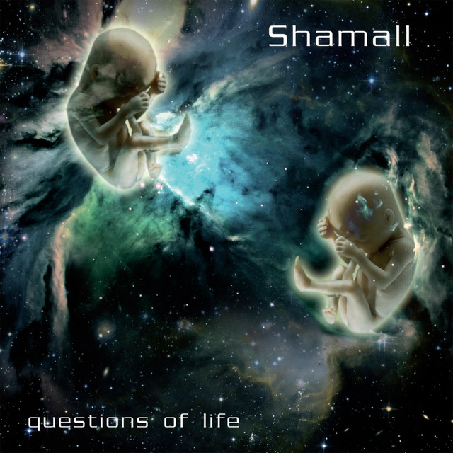 Questions of Life album cover
