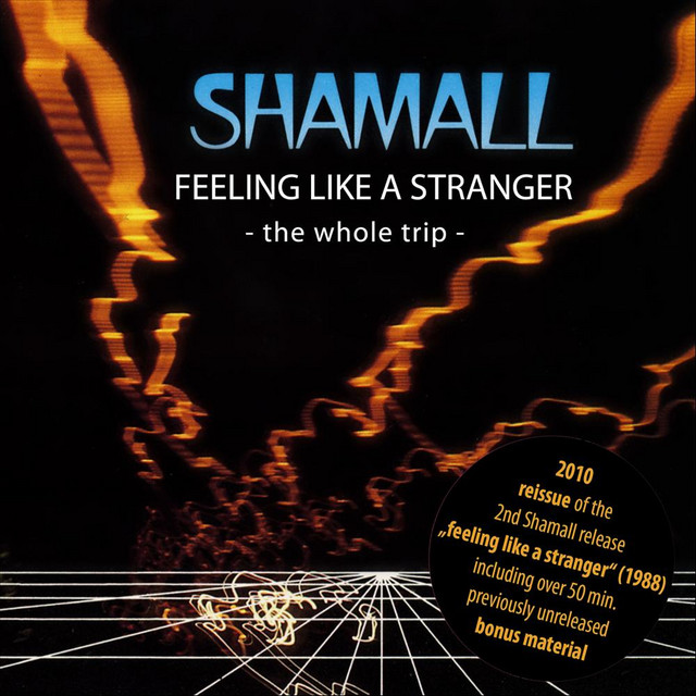 Feeling Like a Stranger (The Whole Trip) album cover