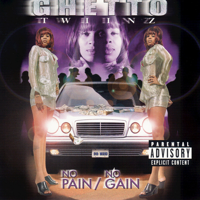 No Pain No Gain album cover