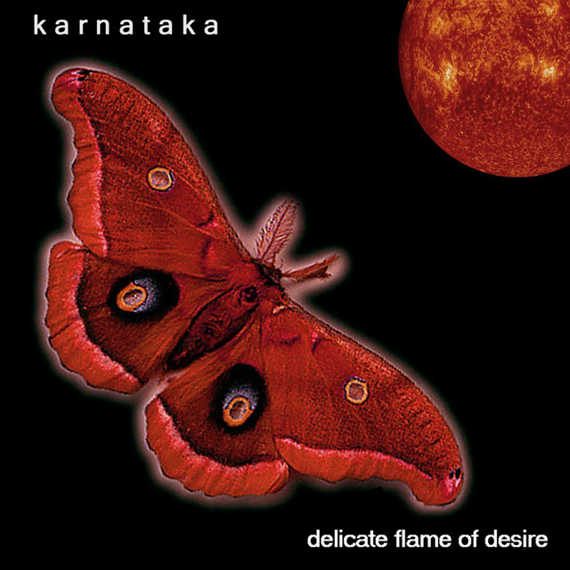 Delicate Flame of Desire album cover