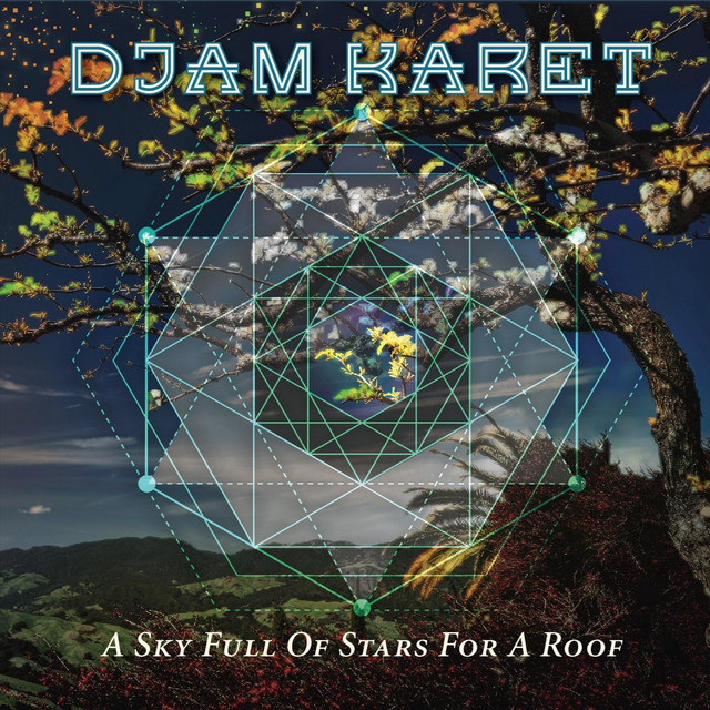 A Sky Full of Stars for a Roof album cover