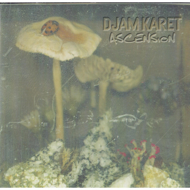 Ascension album cover