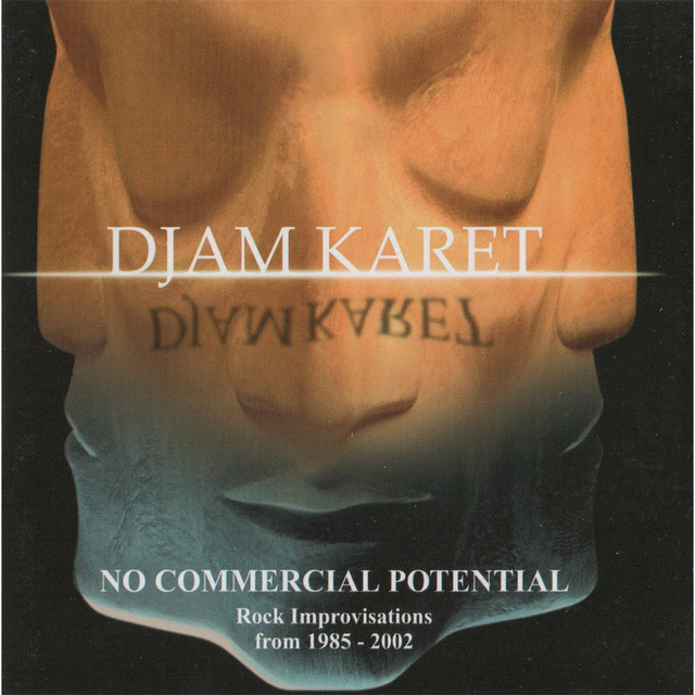 No Commercial Potential(and Still Getting the Ladies) album cover