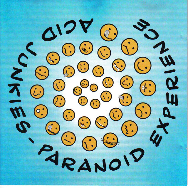 Paranoid Experience album cover