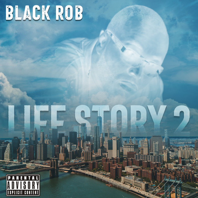 Life Story 2 album cover