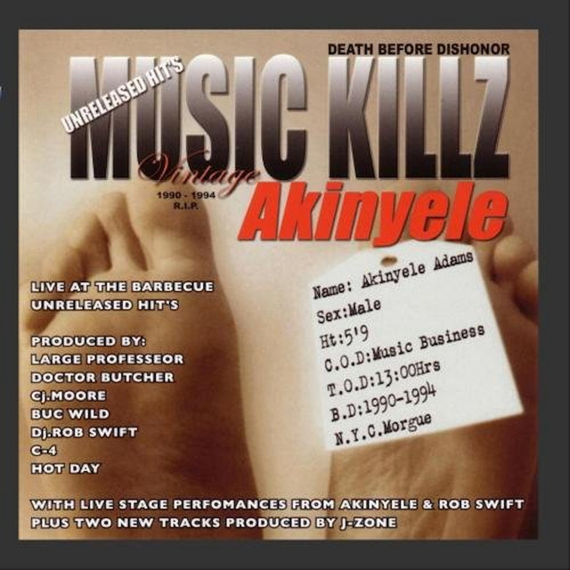 Akinyele Live At The Barbecue - Unreleases Hit's album cover