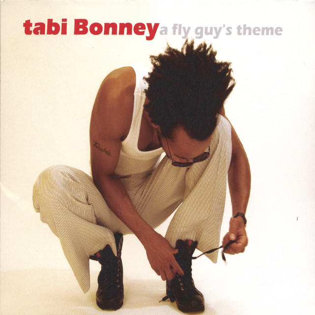 A Fly Guy's Theme album cover