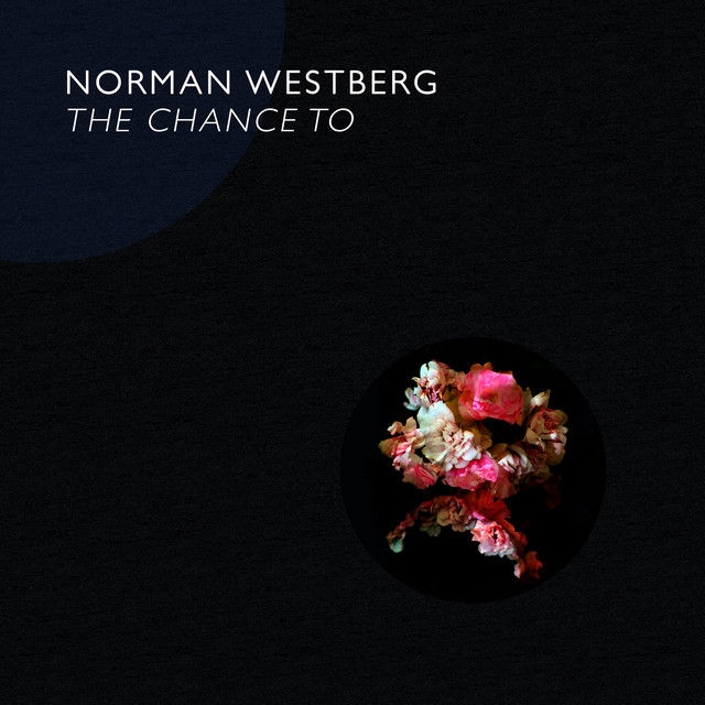 The Chance To album cover