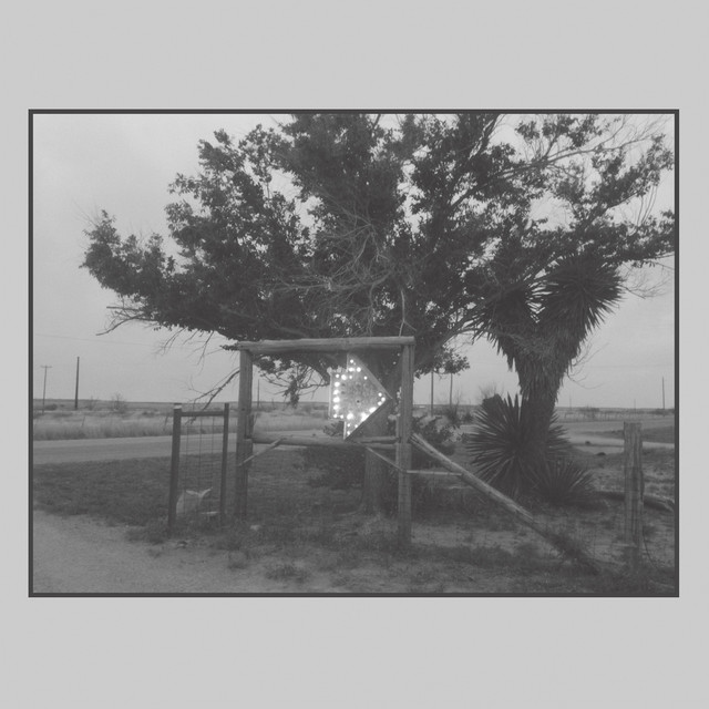 13 album cover