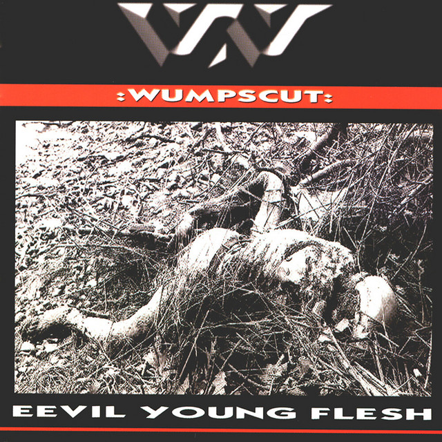 Eevil Young Flesh album cover