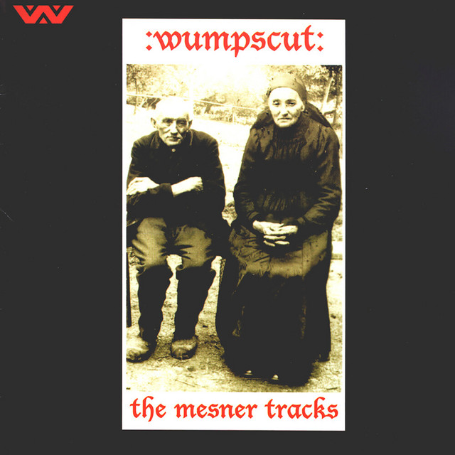 The Mesner Tracks album cover