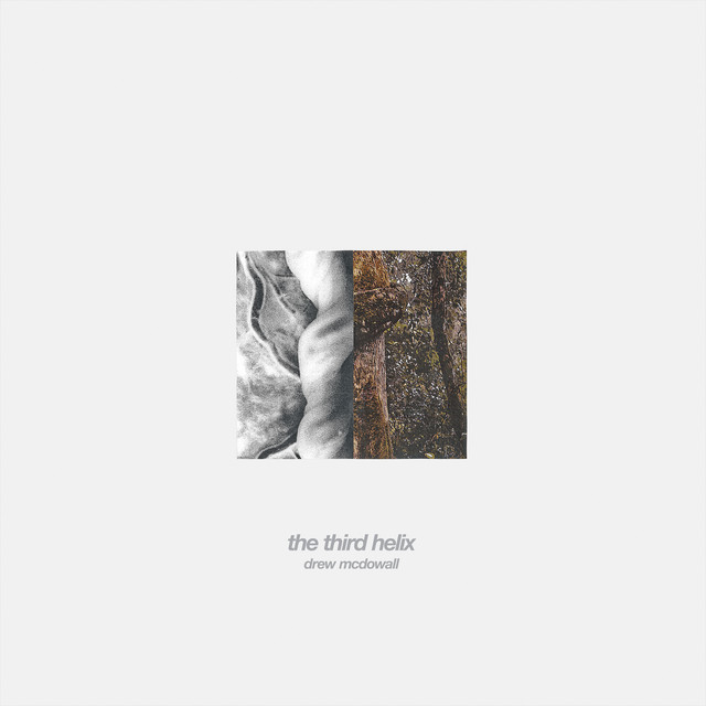 The Third Helix album cover
