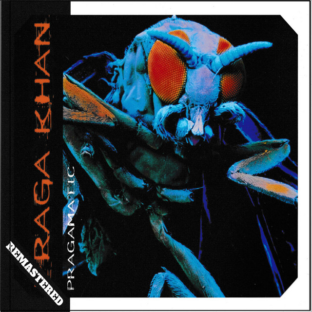 Pragamatic (Remastered) album cover