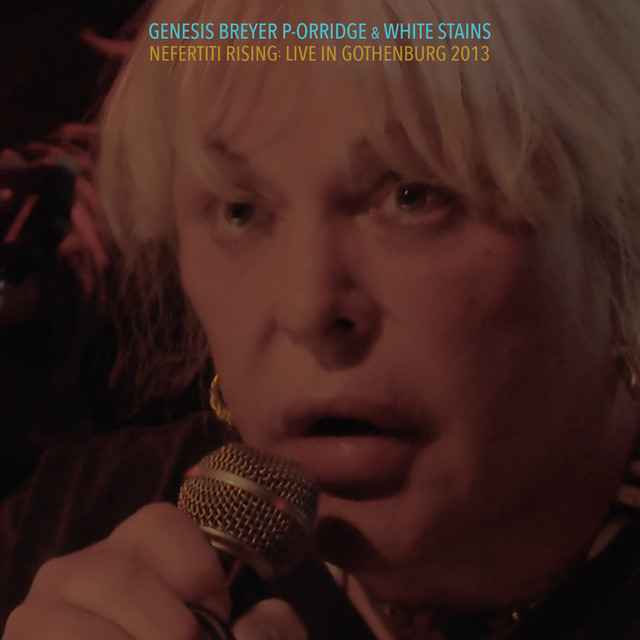 Nefertiti Rising: Live in Gothenburg 2013 album cover