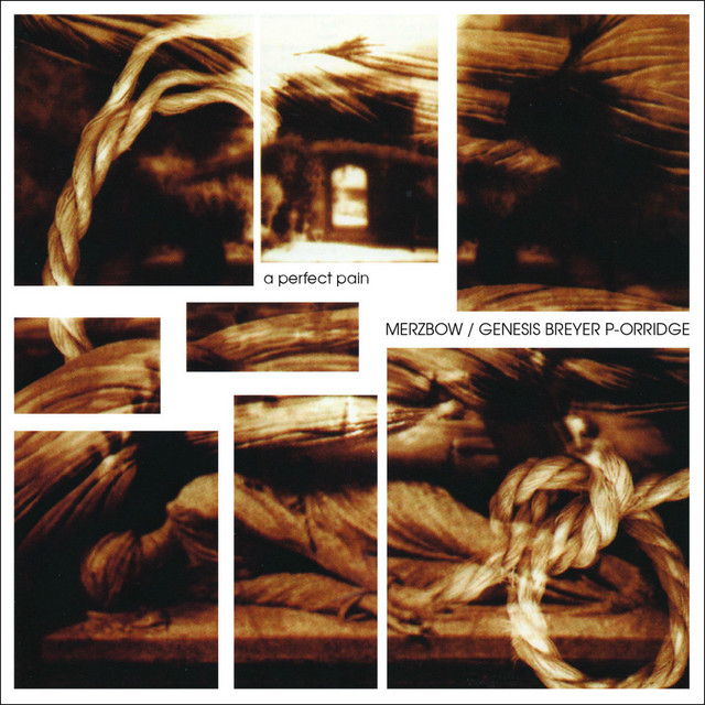 A Perfect Pain album cover