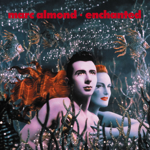 Enchanted album cover