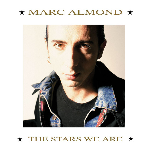 The Stars We Are album cover