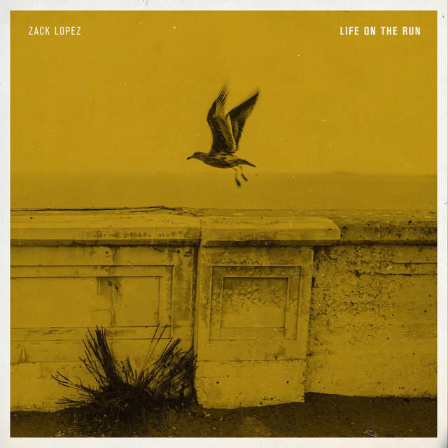 Life on the Run album cover