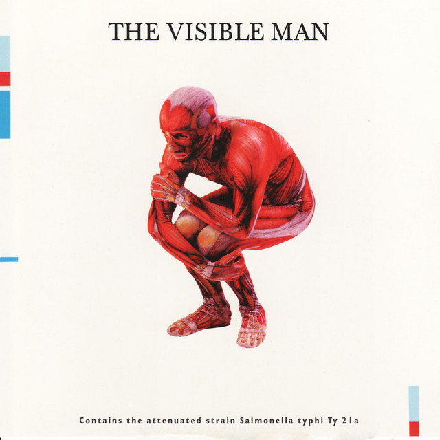 The Visible Man album cover