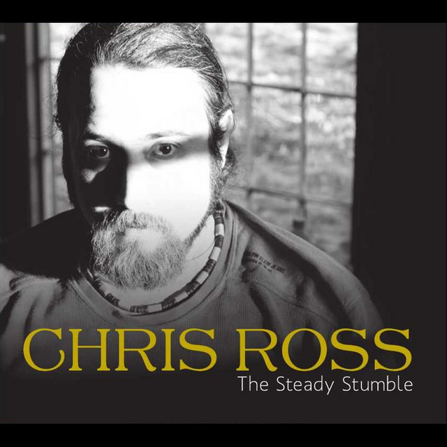 The Steady Stumble album cover
