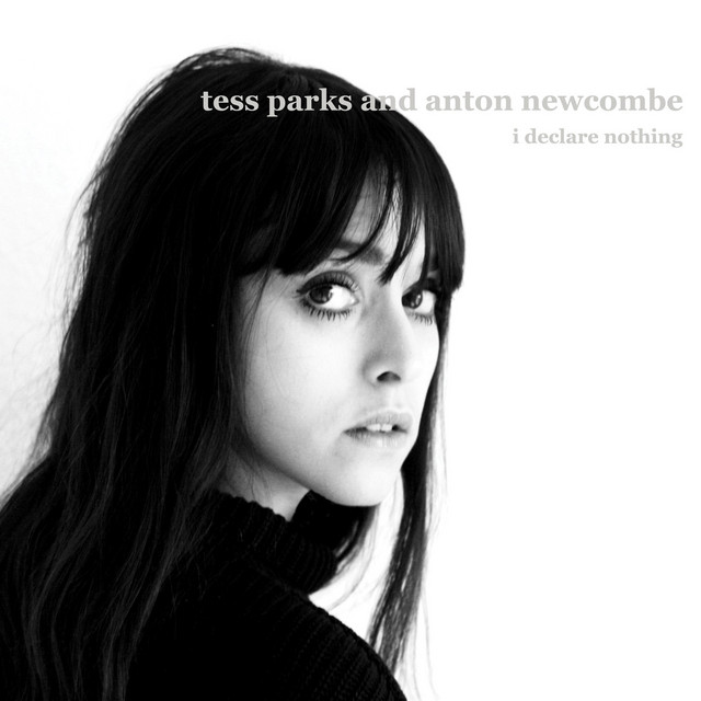 I Declare Nothing album cover