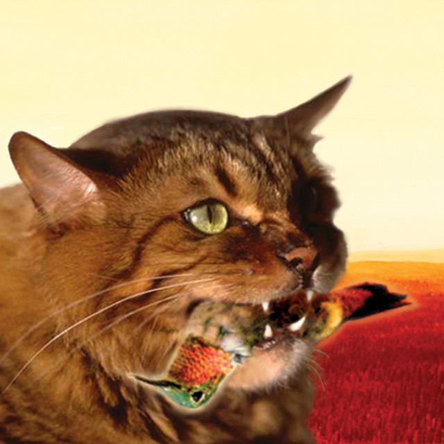 The Meowstro Sings: Guster's Keep It Together album cover