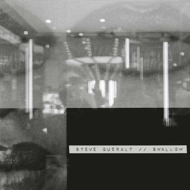 Swallow album cover
