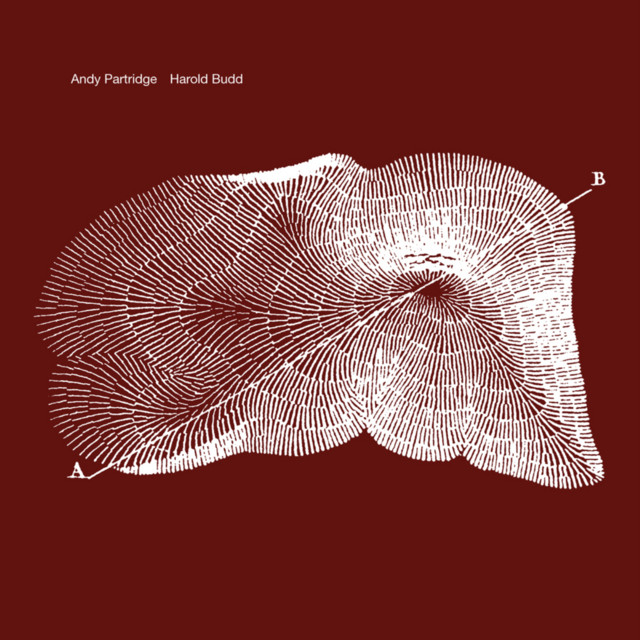 Through The Hill album cover