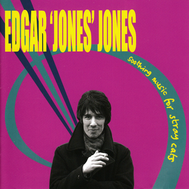 Soothing Music for Stray Cats (Deluxe Version) album cover
