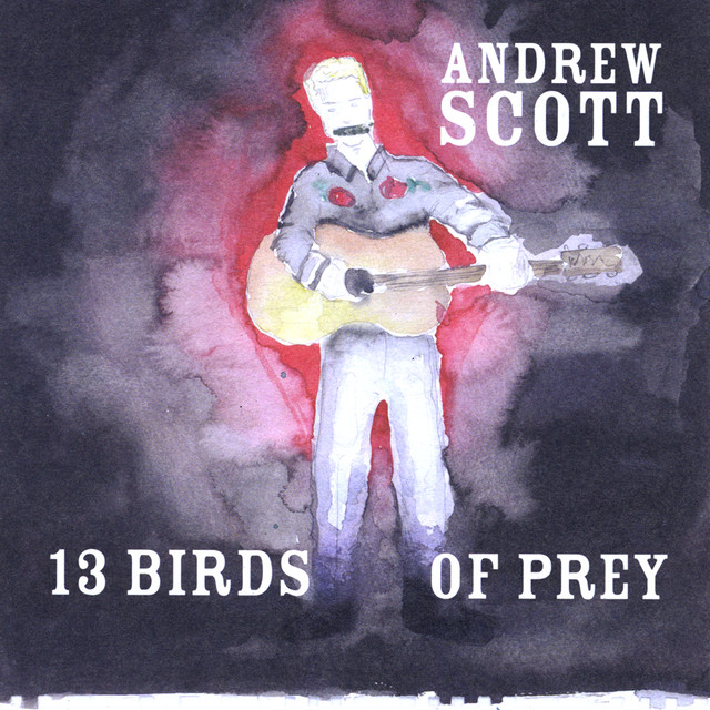 13 Birds Of Prey album cover