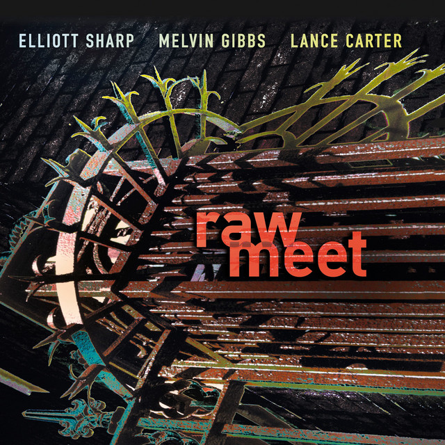 Raw Meet album cover