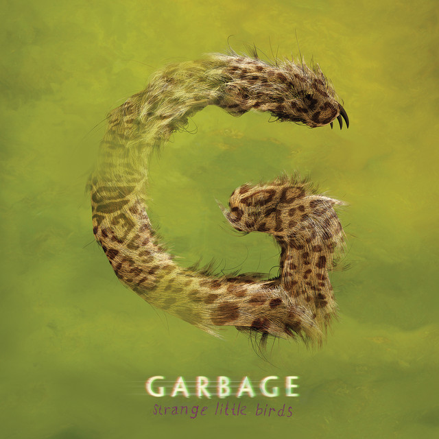 Strange Little Birds album cover