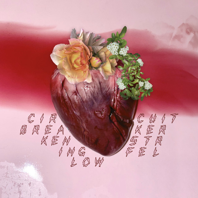 Circuit Breaker album cover