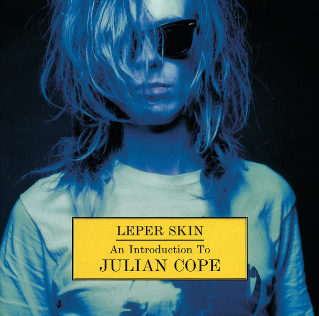 Leper skin - An Introduction To Julian Cope 1986-92 album cover