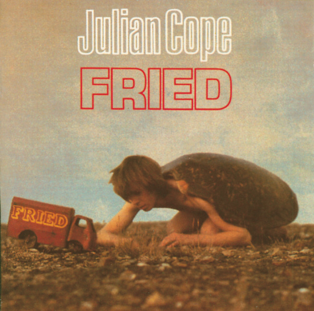 Fried album cover