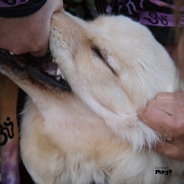 It's Hard for Me to Say I'm Sorry album cover