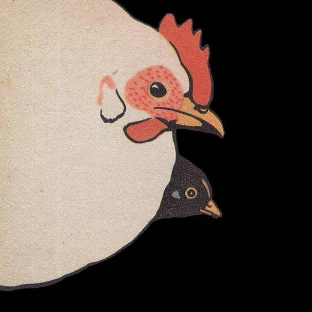 One Bird Two Bird album cover